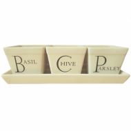 Script Herb Planters (Set of 3) with Tray